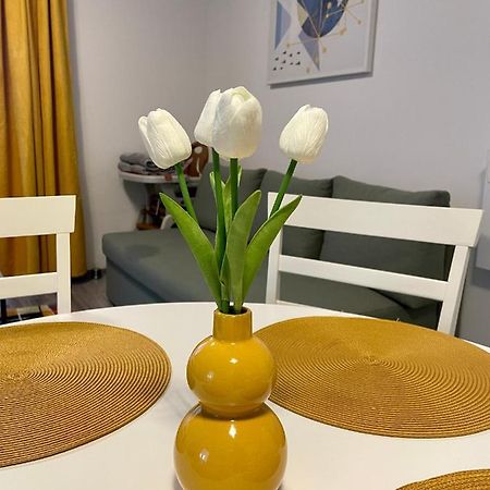 Apartament Mara Băile Felix Zewnętrze zdjęcie