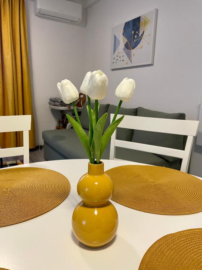 Apartament Mara Băile Felix Zewnętrze zdjęcie